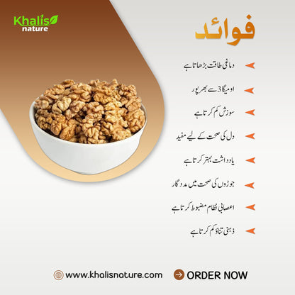 Walnut Without Shell