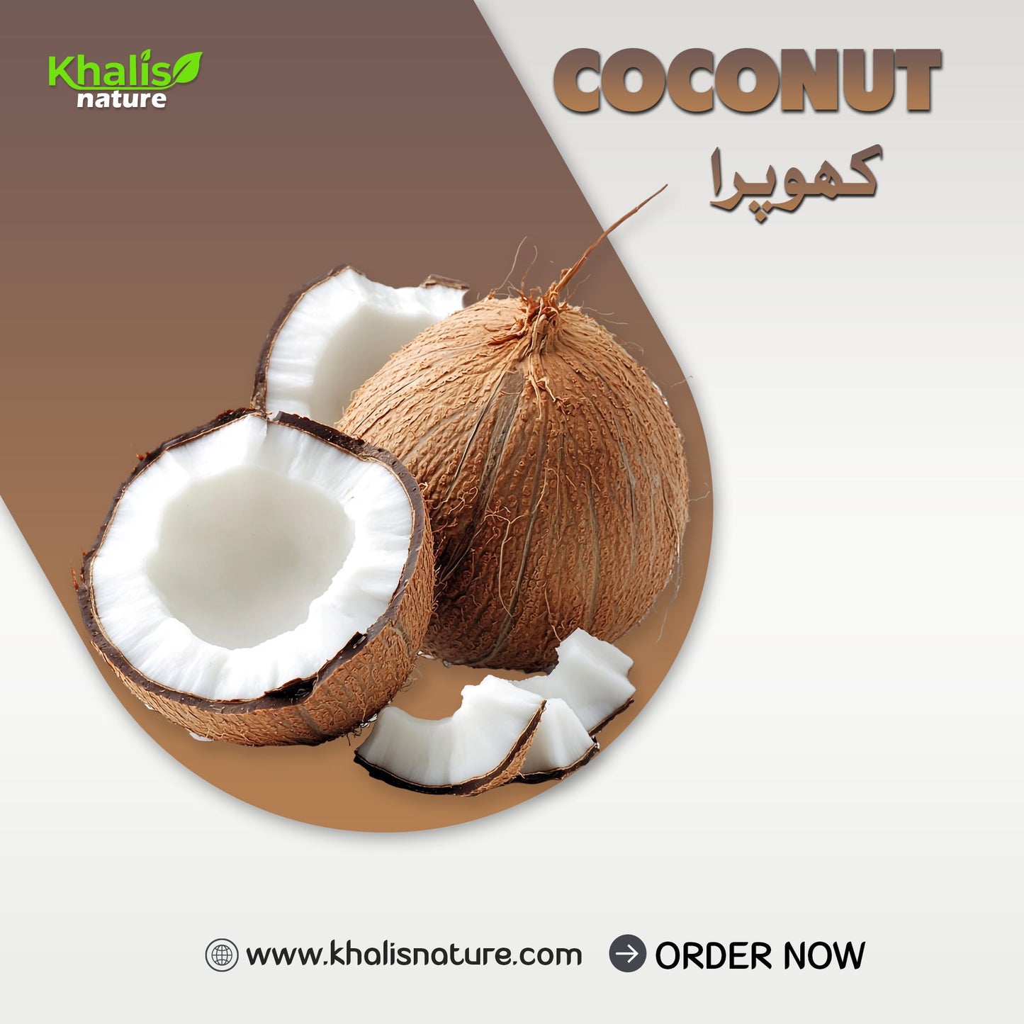 Coconut